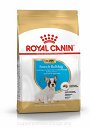 Royal Canin French Bulldog puppy 1 kg