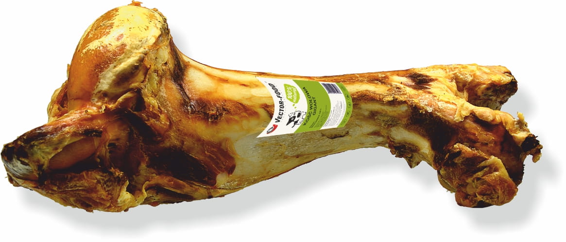 Vector-Food kość wołowa gigant