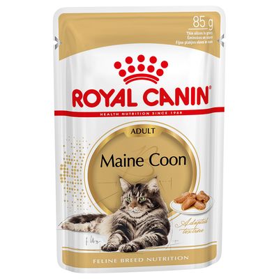 Royal Canin Maine Coon Mobility, Skin & Coat drób w sosie adult 85 g × 12