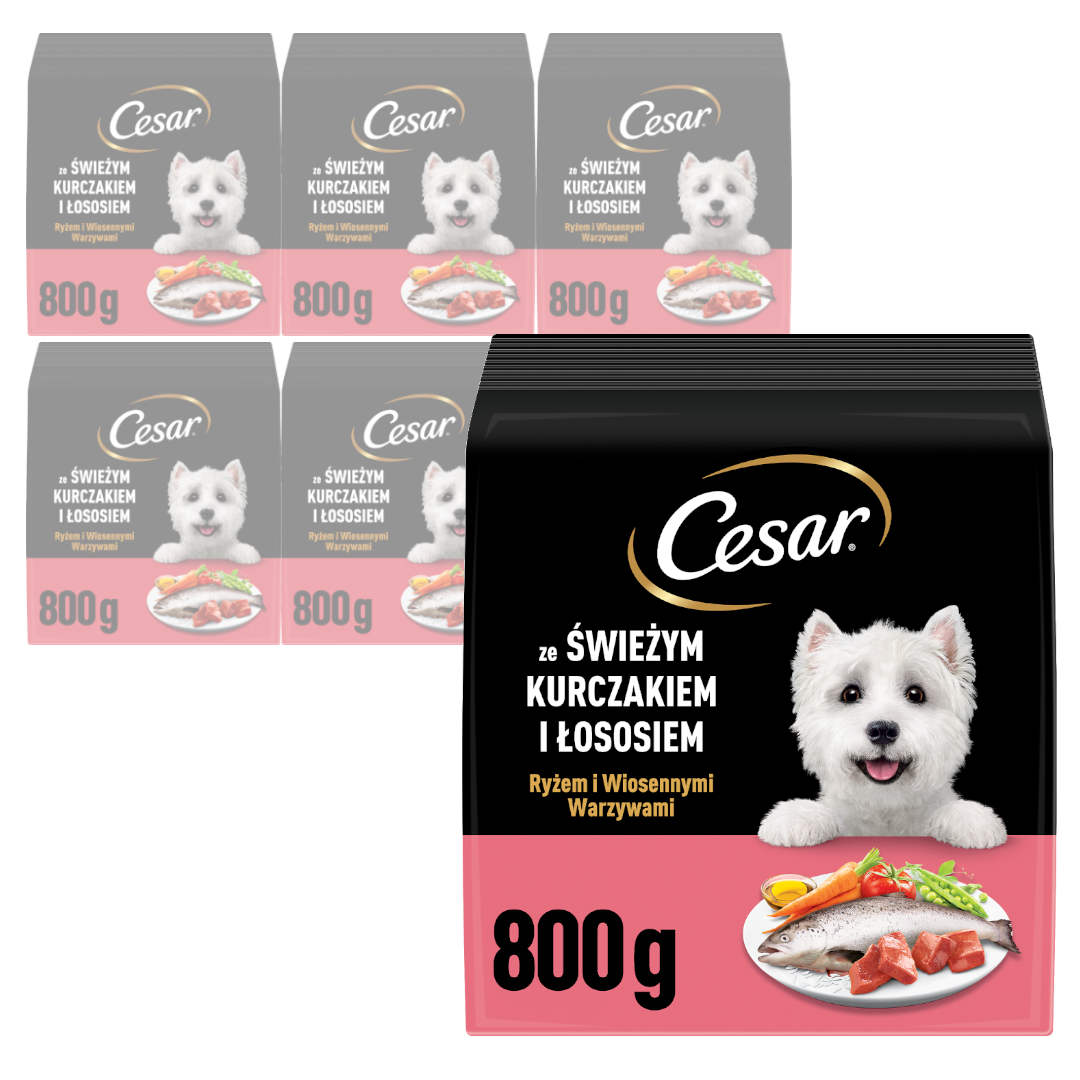 Cesar kurczak, łosoś adult 800 g × 6