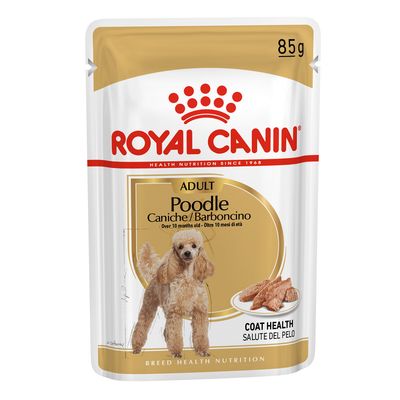 Royal Canin Poodle adult małe rasy 85 g × 24