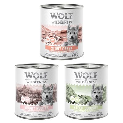 Wolf of Wilderness drób, jagnięcina, wieprzowina, wołowina junior 800 g × 6