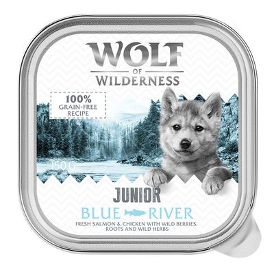 Wolf of Wilderness kurczak, łosoś junior 150 g × 24