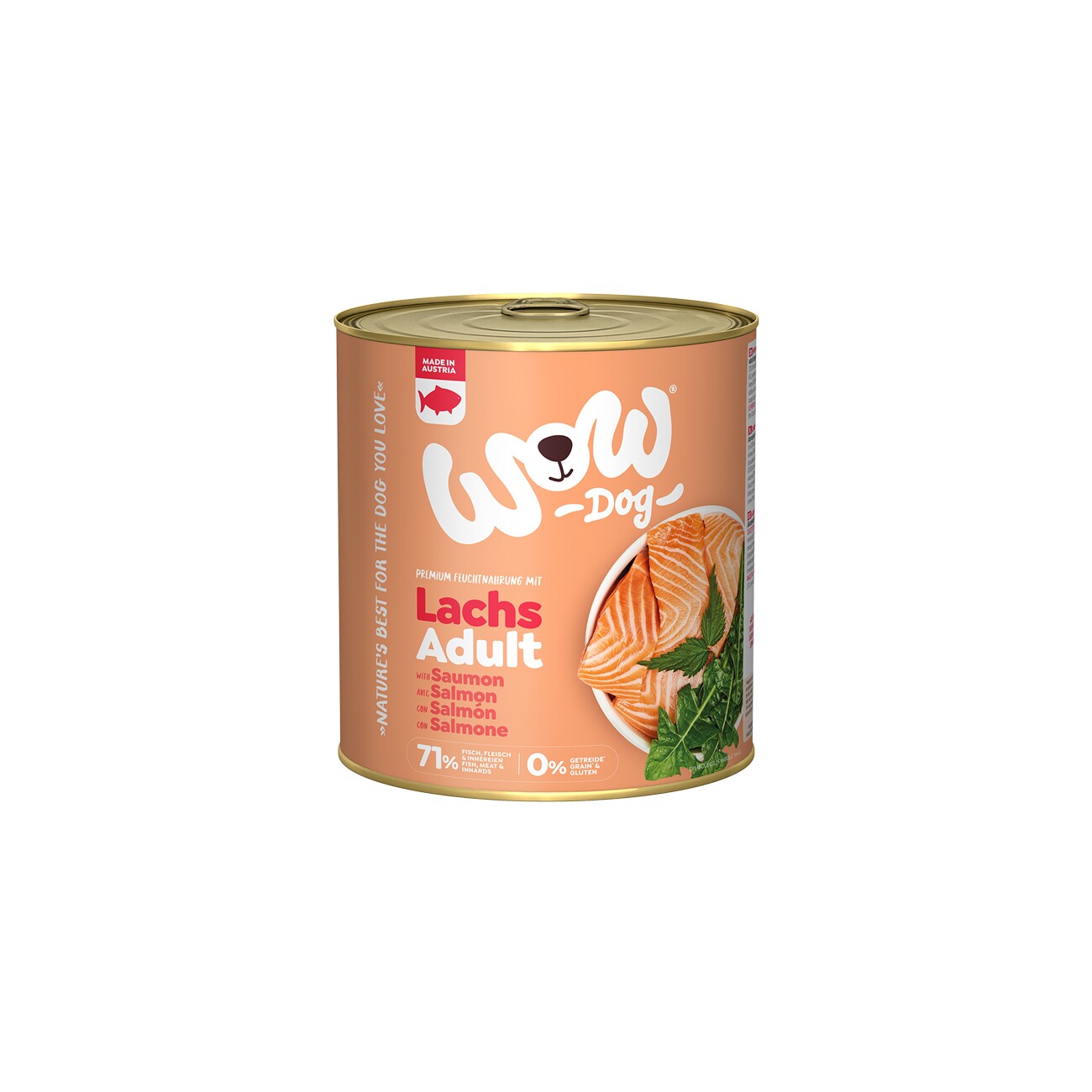 WOW łosoś adult 800 g × 6