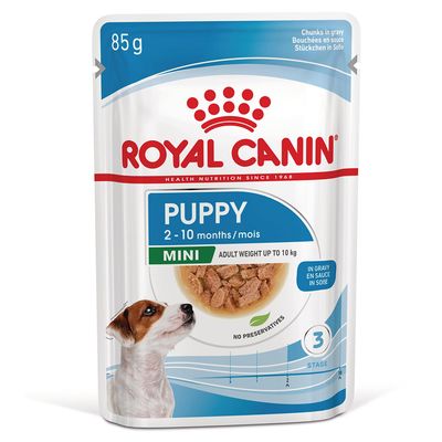 Royal Canin Mini junior małe rasy 85 g × 24