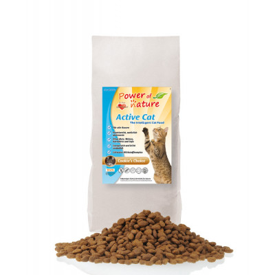 Power Of Nature Active Cat kurczak z brązowym ryżem 2 kg
