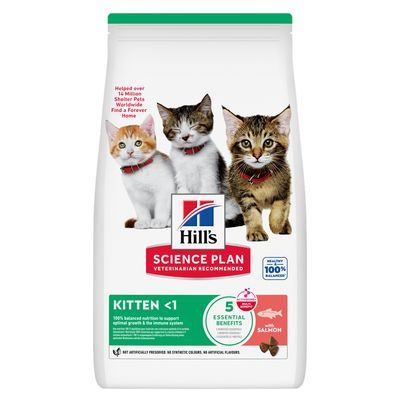 Hill's Science Plan łosoś kitten 7 kg