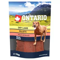 Ontario jagnięcina adult 70 g