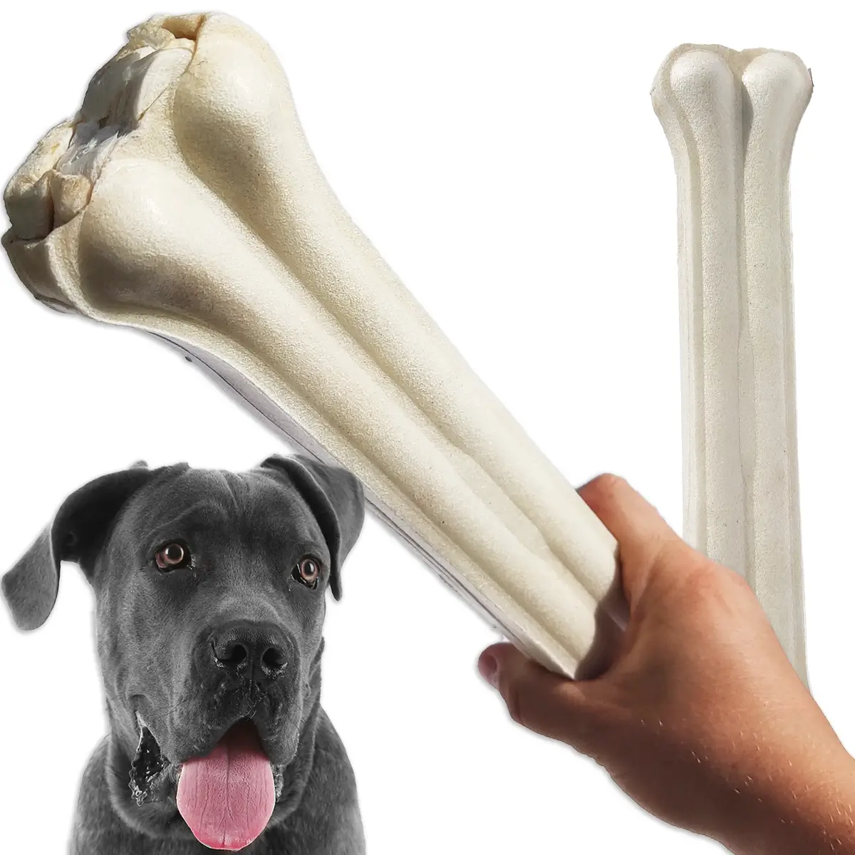 ZooPoint Snacks kość wołowa dla dużych ras 30 cm