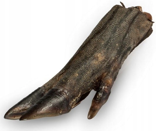 Petmex dziczyzna adult