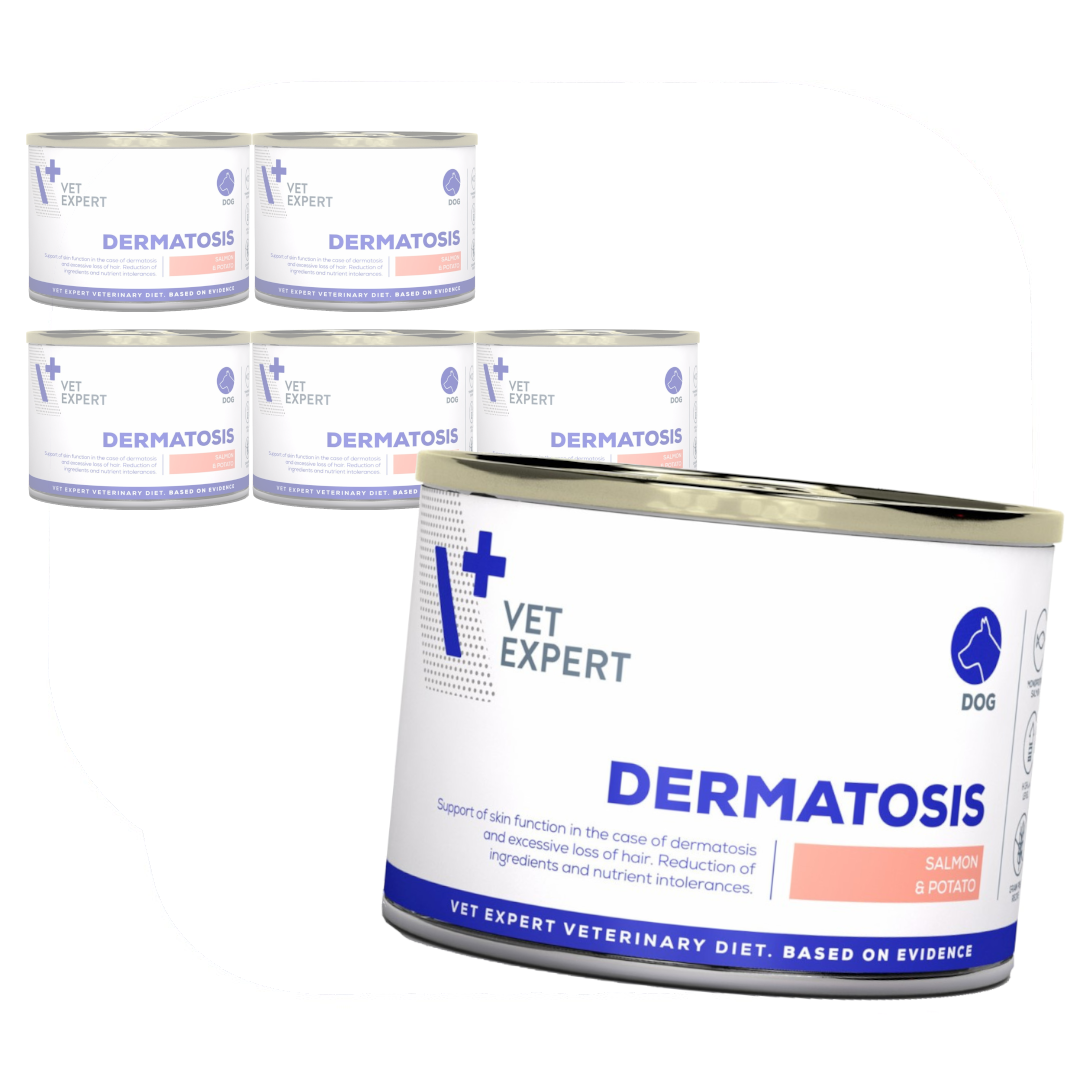 VetExpert Veterinary Diet Dermatosis łosoś 200 g × 6