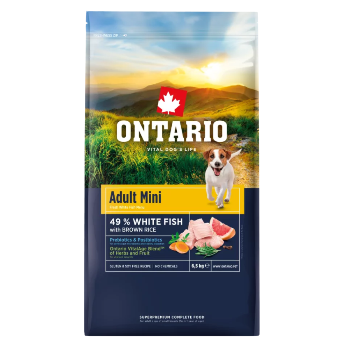 Ontario ryba adult małe rasy 6,5 kg