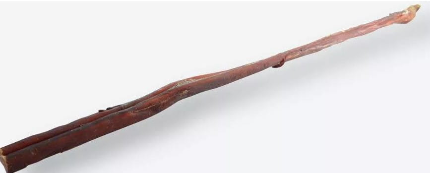 Maced penis wołowy cały 70 cm
