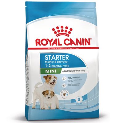 Royal Canin Mini Starter Mother & Babydog małe rasy 8 kg