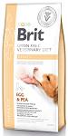 Brit Veterinary Diet Hepatic jajko adult 12 kg