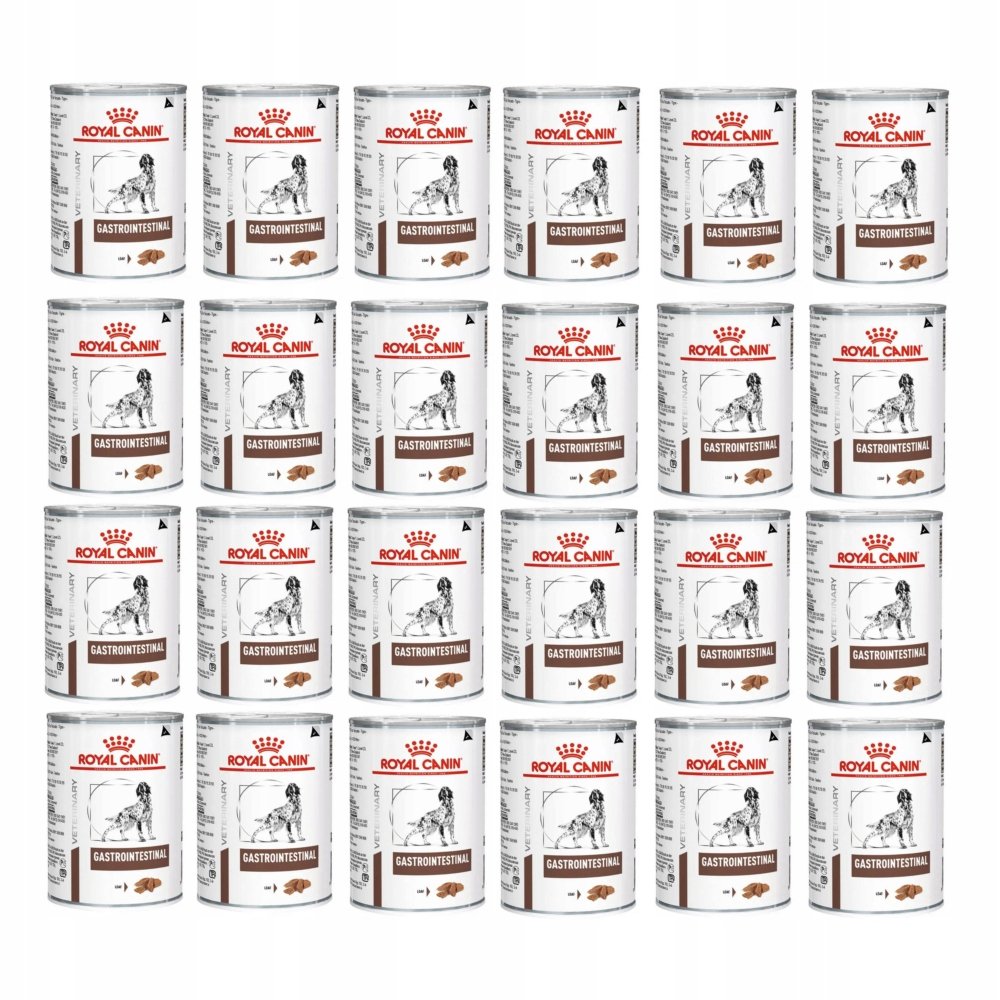 Royal Canin Gastrointestinal 400 g × 24