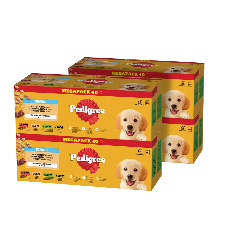 Pedigree jagnięcina, kurczak, wołowina junior 100 g × 160