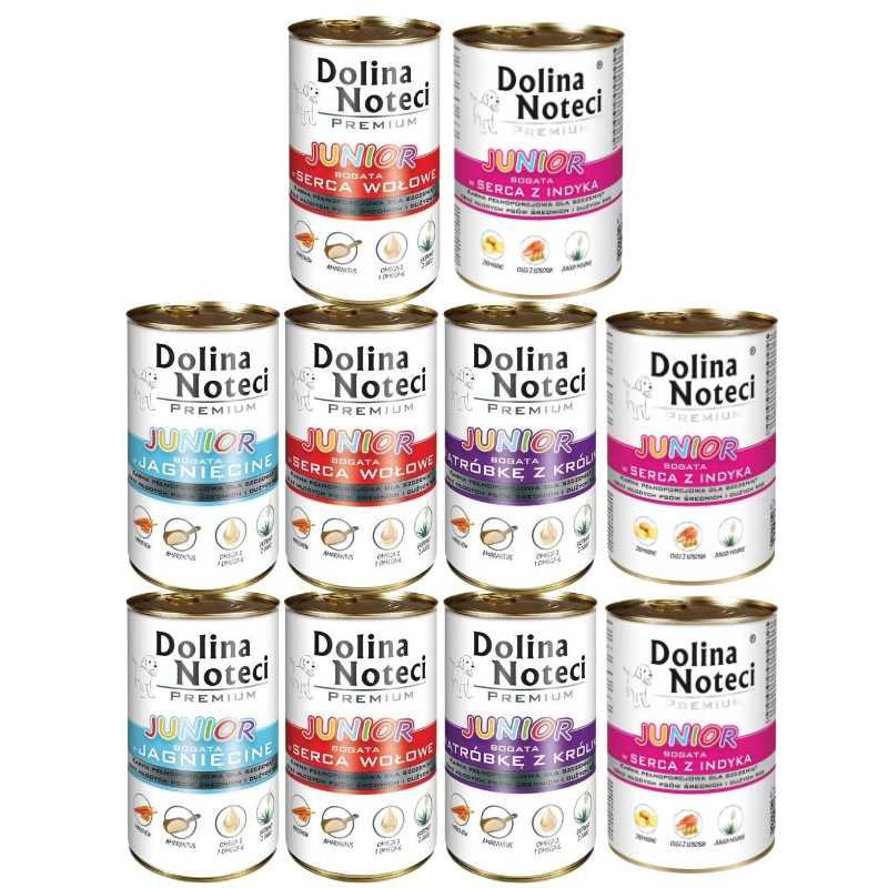 Dolina Noteci Premium indyk, jagnięcina, królik, wołowina junior 400 g × 10