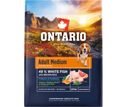 Ontario biała ryba adult średnie rasy 2,25 kg