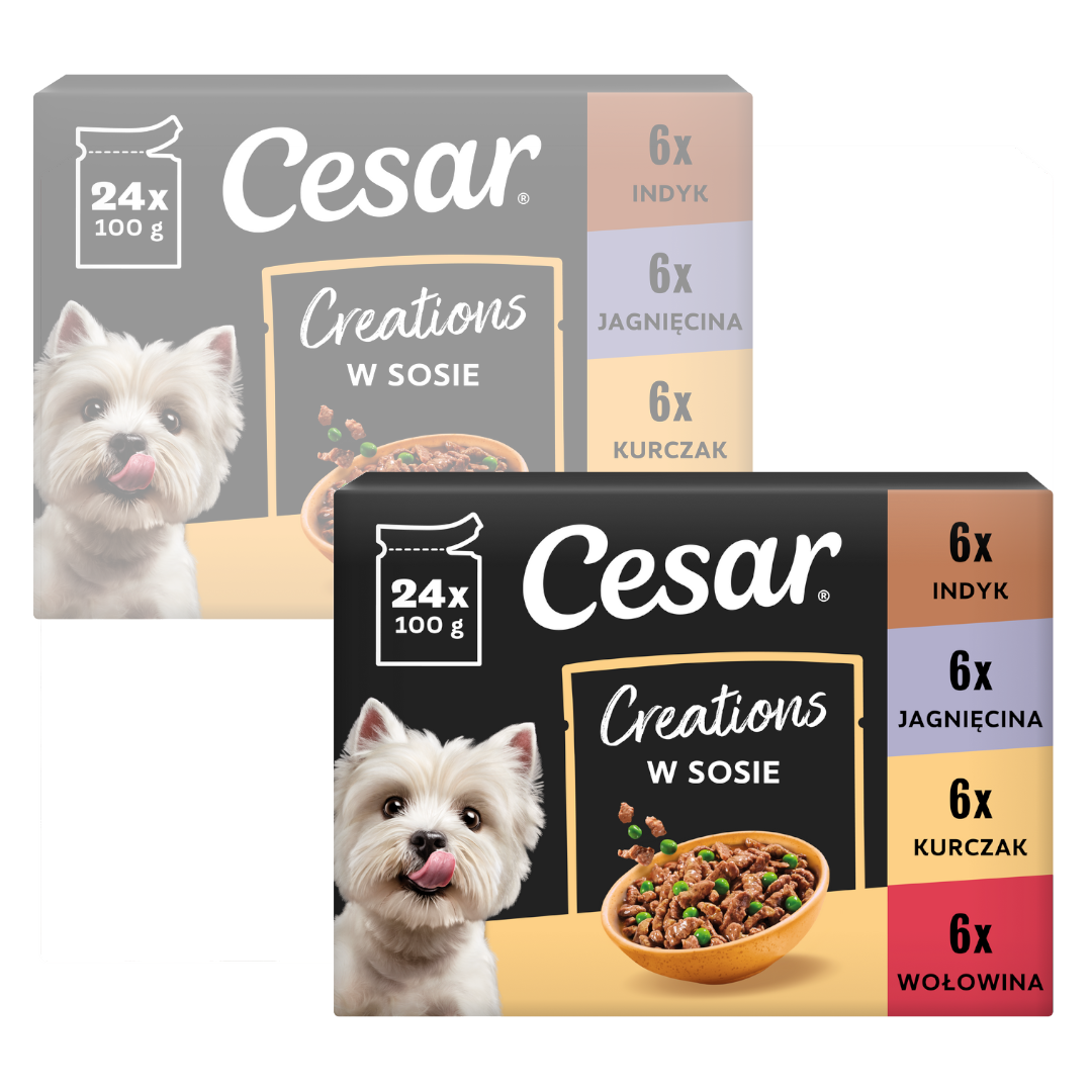 Cesar Creations indyk, jagnięcina, kurczak, wołowina adult 100 g × 48