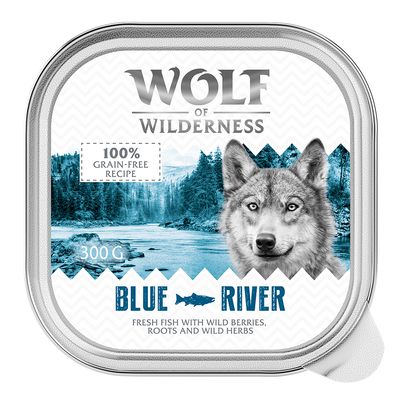 Wolf of Wilderness Monoprotein ryba adult 300 g × 24