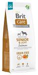 Brit Care łosoś senior 12 kg × 2