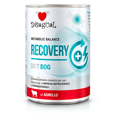Disugual Recovery jagnięcina 400 g