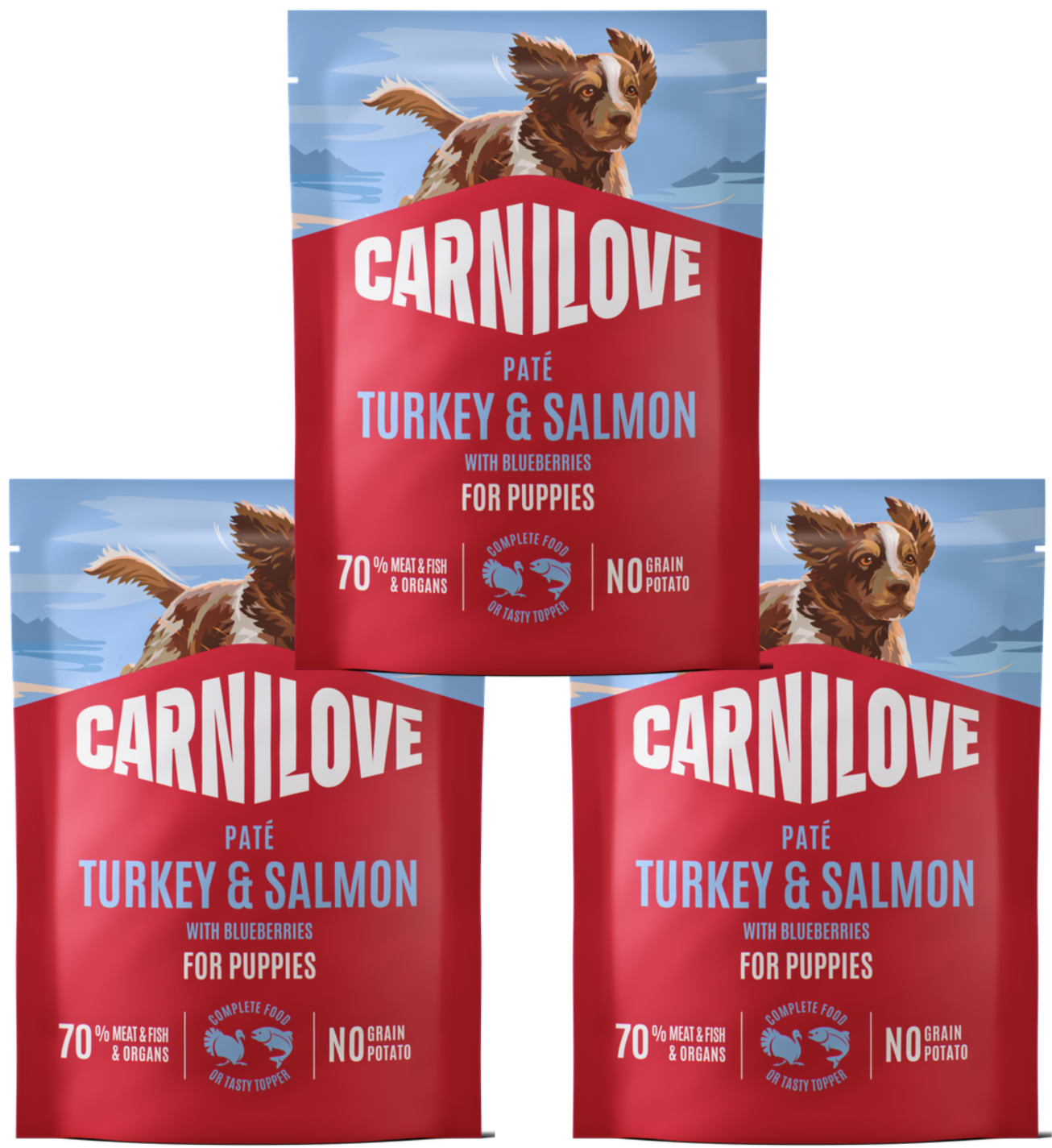 Carnilove indyk, łosoś puppy 300 g × 3