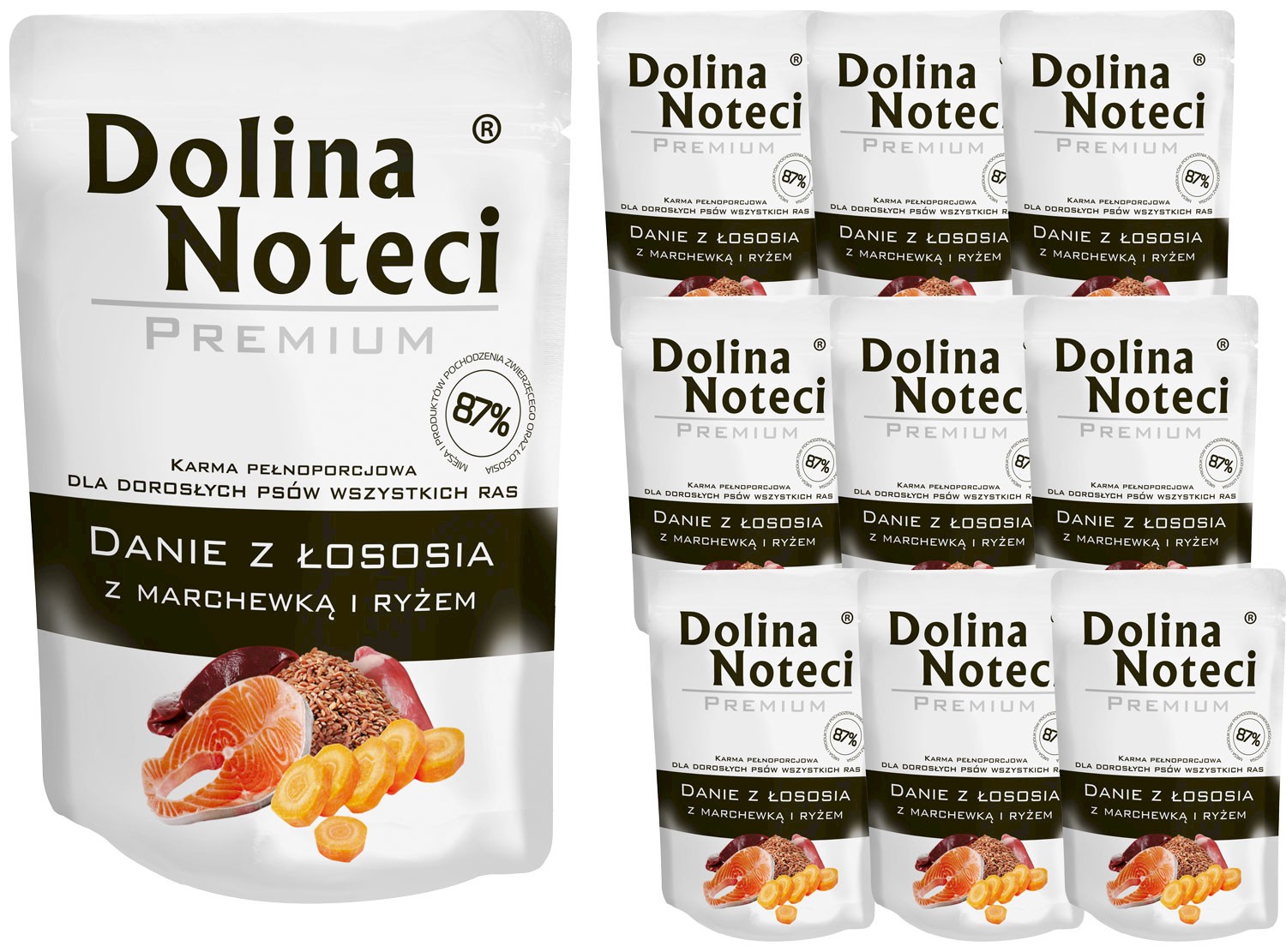 Dolina Noteci Premium łosoś adult 100 g × 10
