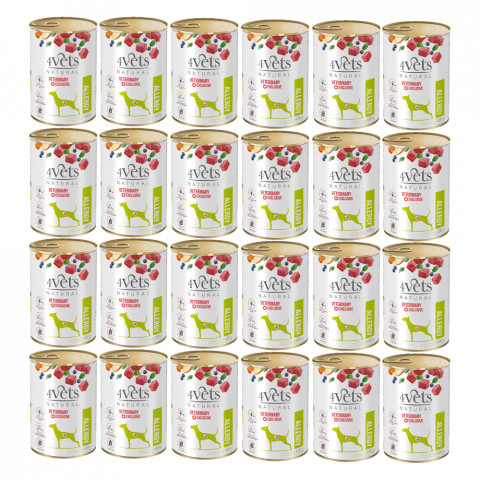 4Vets Natural Allergy jagnięcina 400 g × 24