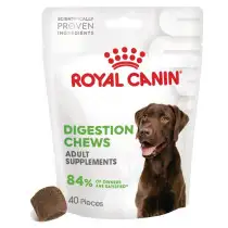 Royal Canin Digestion adult 4 g × 40