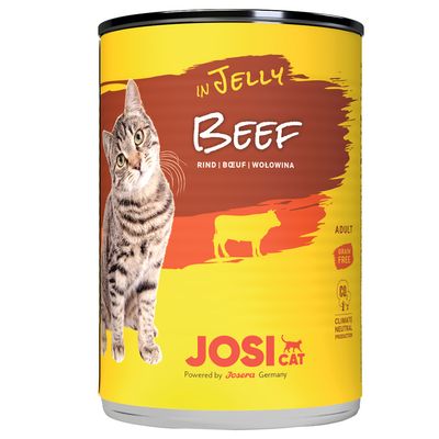 Josera JosiCat wołowina w galaretce adult 400 g × 12
