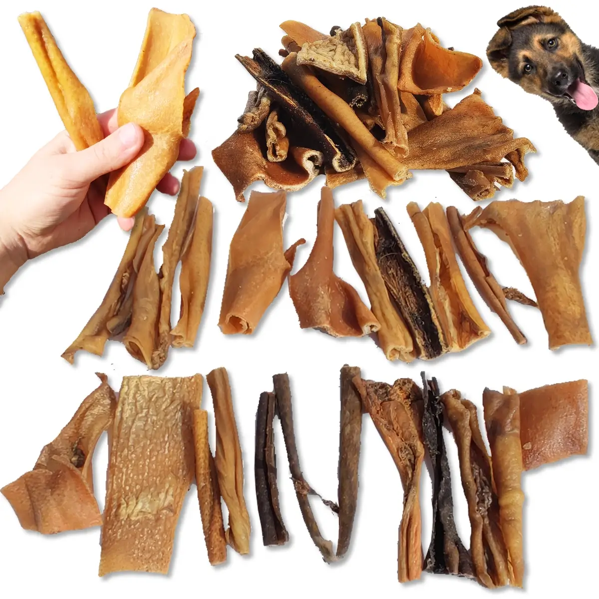 ZooPoint Snacks skóra z dzika dla szczeniąt 500 g