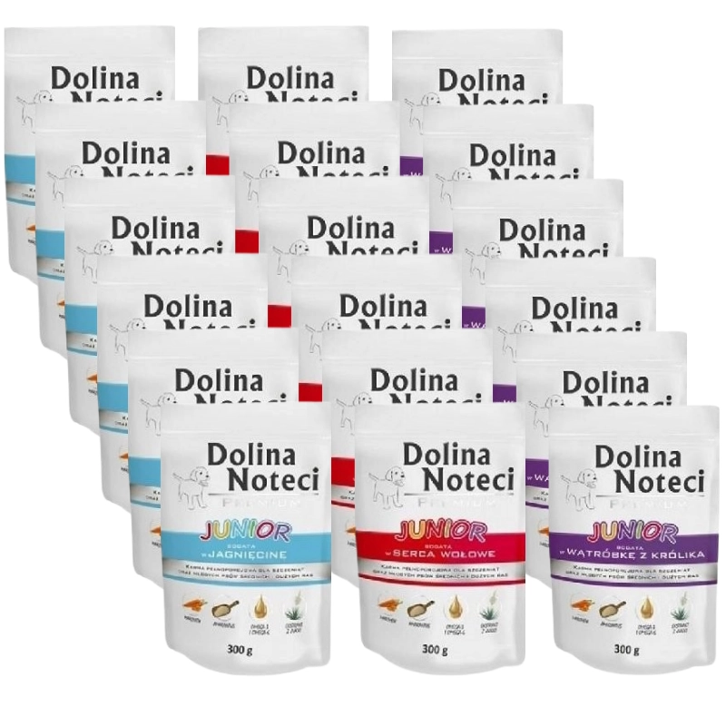 Dolina Noteci Junior junior 300 g × 18
