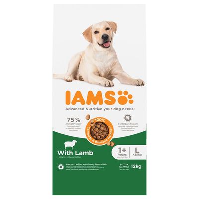 IAMS Advanced Nutrition jagnięcina adult duże rasy 12 kg × 2