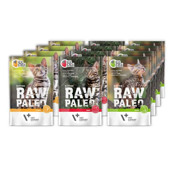 VetExpert Raw Paleo mix smaków kitten 100 g × 12