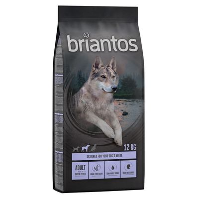 Briantos kaczka adult 12 kg × 2