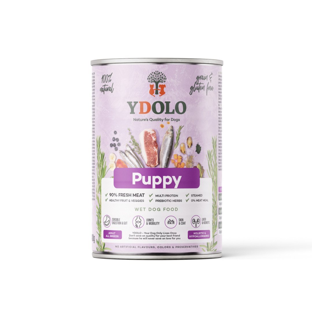 Ydolo Healthy & Pure wieprzowina, ryby puppy 400 g