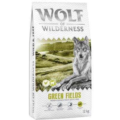 Wolf of Wilderness Green Fields jagnięcina senior 12 kg × 2