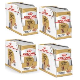 Royal Canin Breed Yorkshire adult małe rasy 85 g × 48