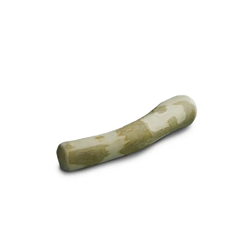 Buba gryzak drzewo kawowe M 16 cm
