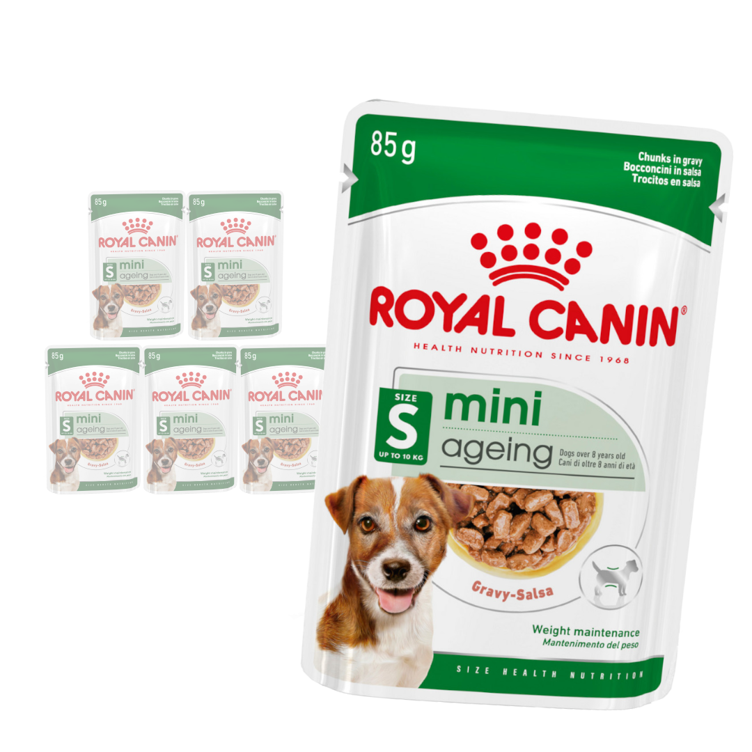 Royal Canin Mini Ageing senior małe rasy 85 g × 6