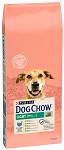 Purina Dog Chow indyk adult 16,5 kg