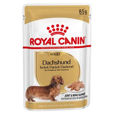 Royal Canin Dachshund adult małe rasy 85 g × 12
