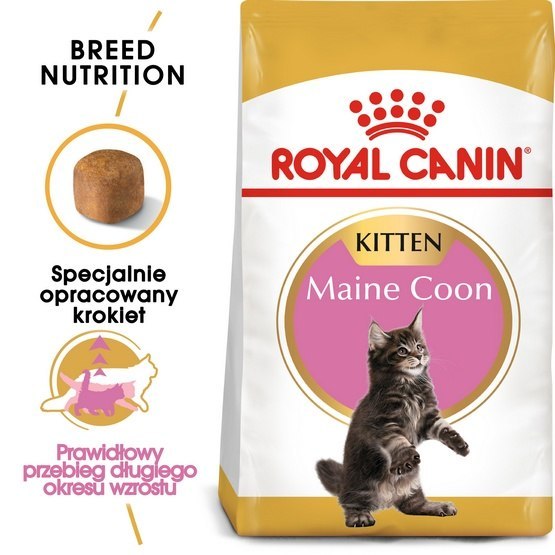 Royal Canin Maine Coon kitten 4 kg