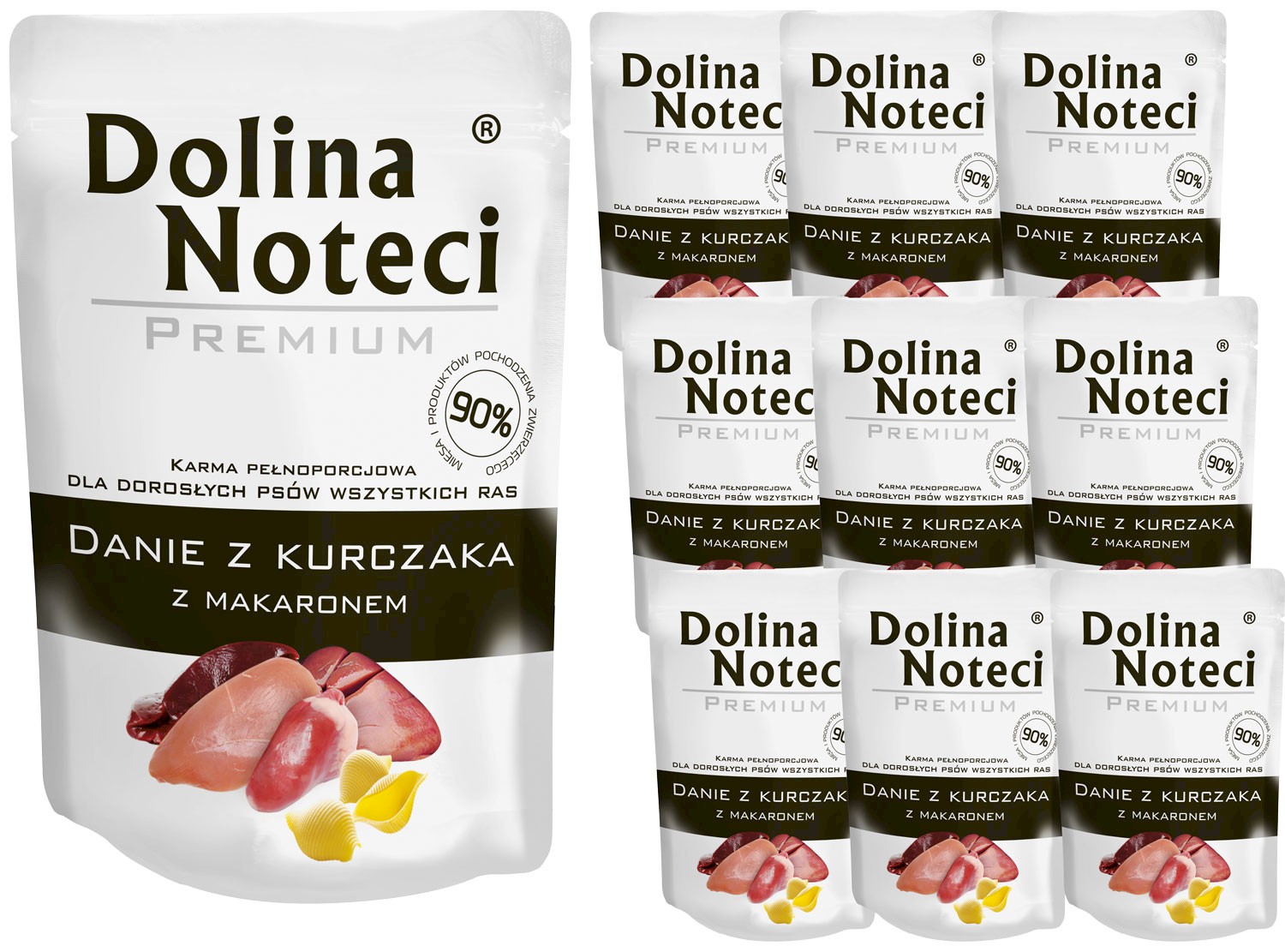 Dolina Noteci Premium kurczak adult 100 g × 10