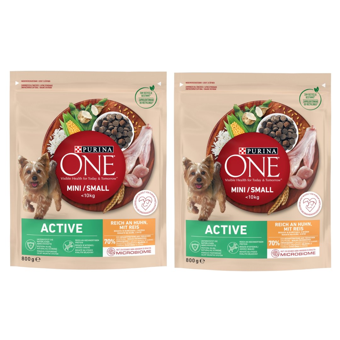 Purina One Mini Active kurczak małe rasy 800 g × 2