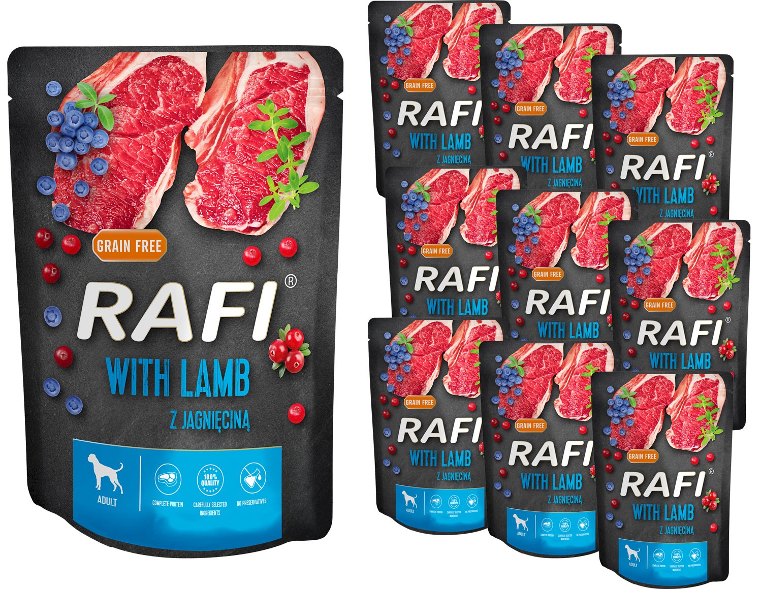 Dolina Noteci Rafi jagnięcina adult 300 g × 10