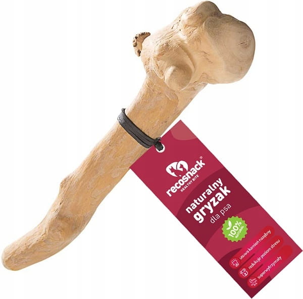 Recosnack RecoSnack patyk z drzewa kawowego XL