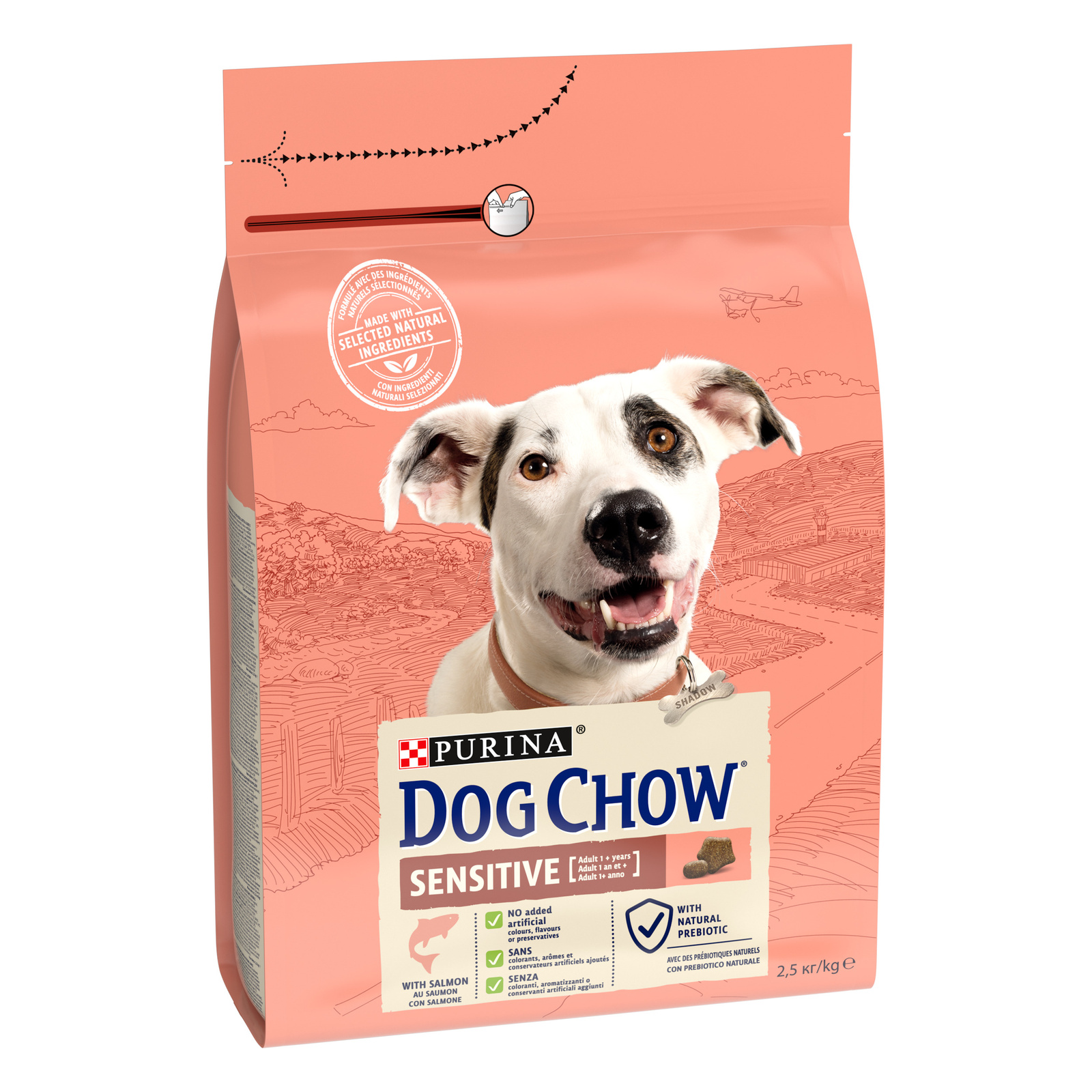 Purina Dog Chow łosoś adult 2,5 kg
